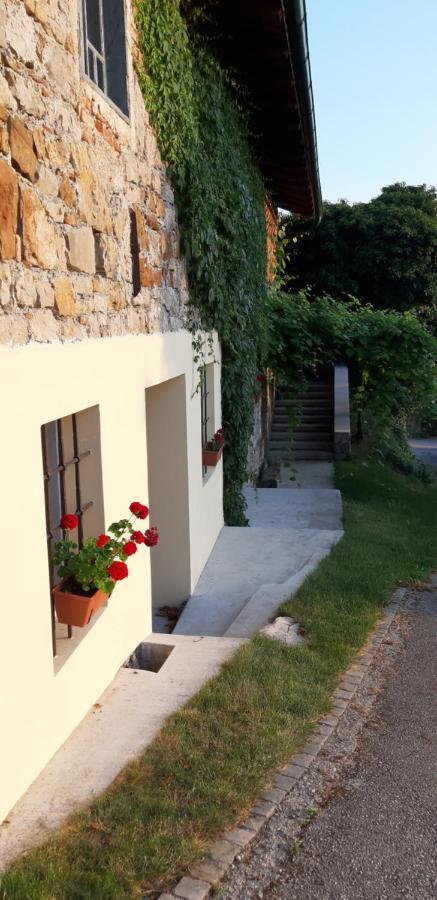 Villa Katarina Branik Dış mekan fotoğraf